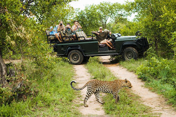 Imagen de Sudafrica en Reserva Privada - Special Tours