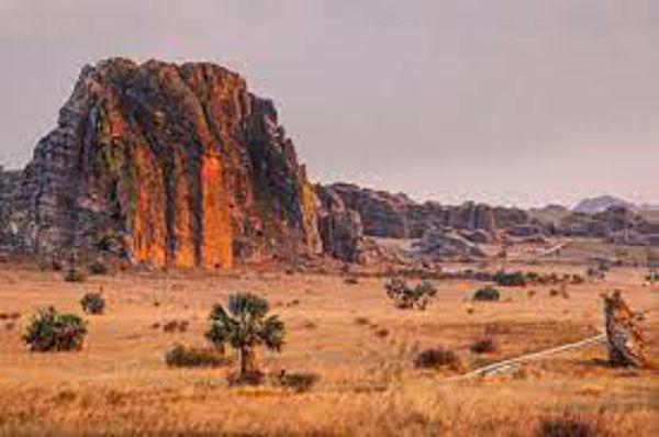 Imagen de Madagascar- Sur Espectacular 