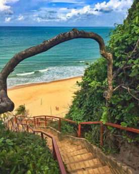 Imagen de Natal y Pipa - Baja Temporada