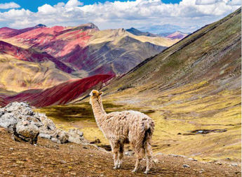 Imagen de Perú y Bolivia - Maravillas Andinas y del Altiplano - 2026