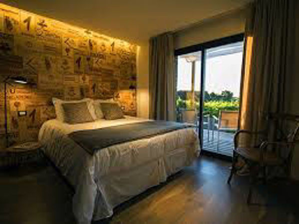 Imagen de Noche en los Viñedos Pizzorno Lodge & Wine -  Turismo Nacional