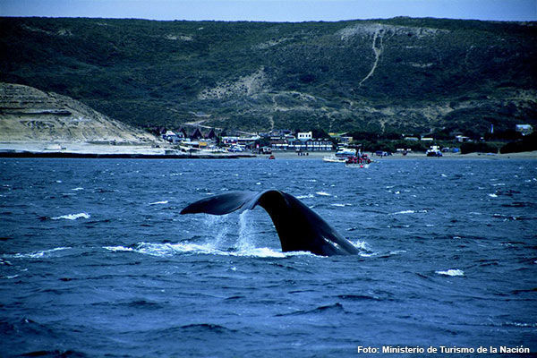 Imagen de Puerto Madryn