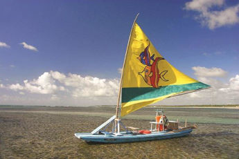 Imagen de Porto de Galinhas - Baja Temporada - Cupos Confirmados AZUL